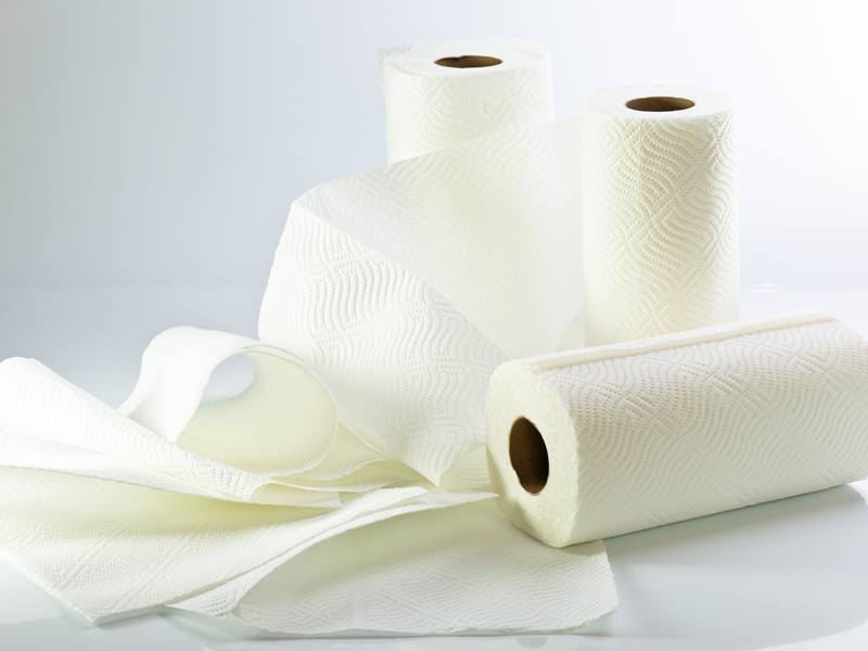 paper towel bulk