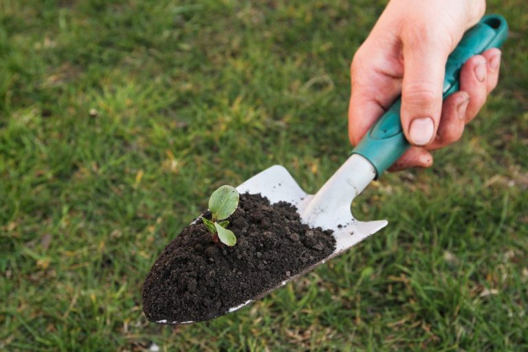 When and how to use the small trowel tool in gardening?